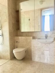 Soleil @ Sinaran (D11), Condominium #581788021